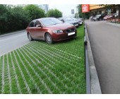 Тротуарная плитка Экология газонная решётка
